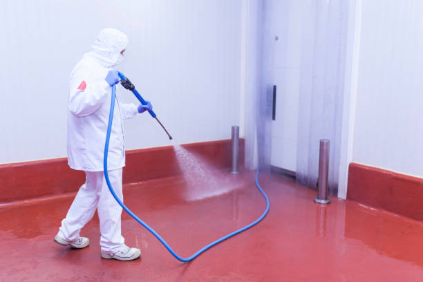 Best Spring Cleaning  in Bohemia, NY
