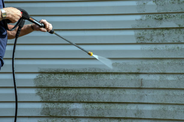 Best Sidewalk and Walkway Cleaning  in Bohemia, NY